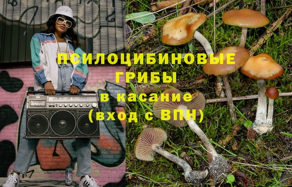 шишки Куйбышев