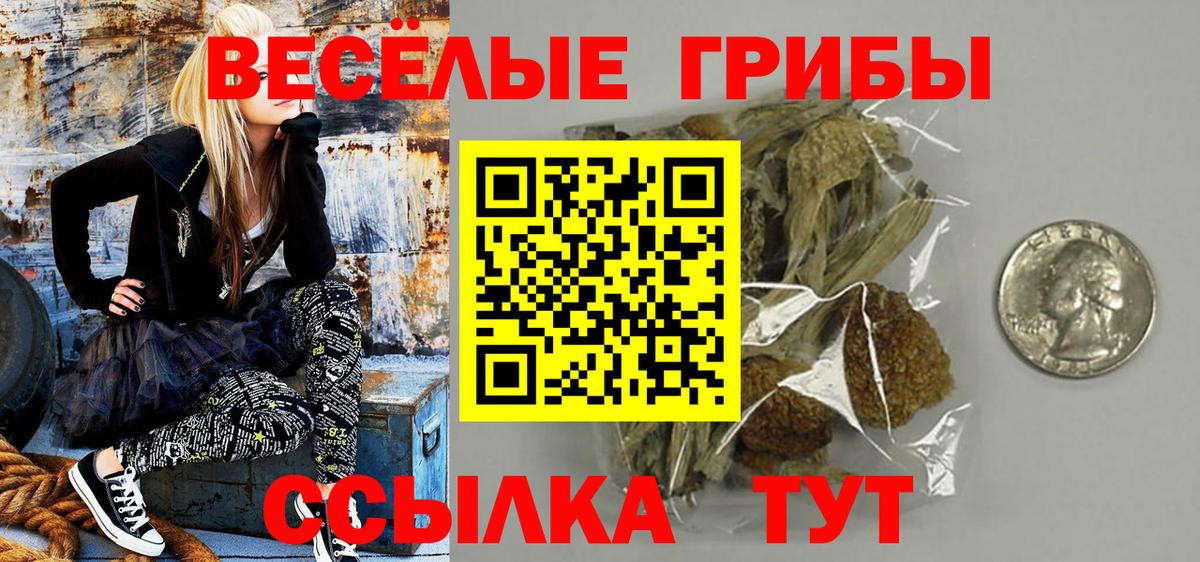 Псилоцибиновые грибы прущие грибы Узловая